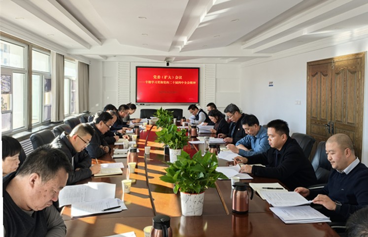 大队党委召开学习贯彻党的二十届四中全会精神专题会议