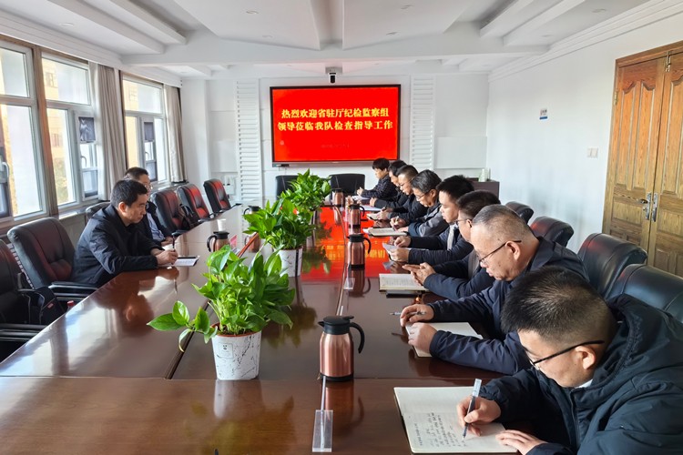 省纪委监委派驻省工信厅纪检监察组莅临我队调研指导工作